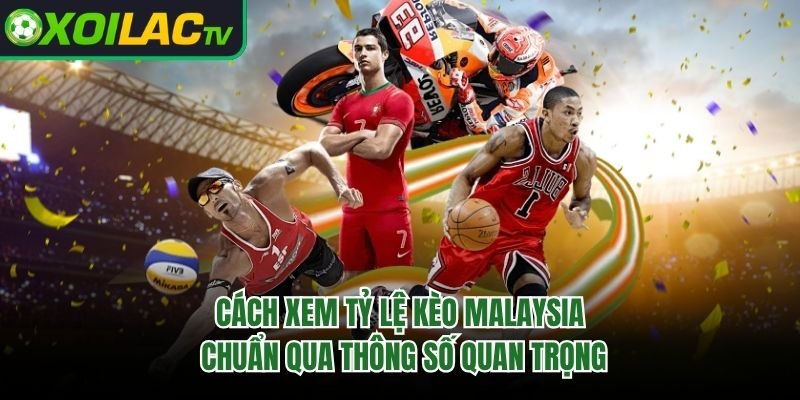Cách Xem Tỷ Lệ Kèo Malaysia Chuẩn Qua Thông Số Quan Trọng
