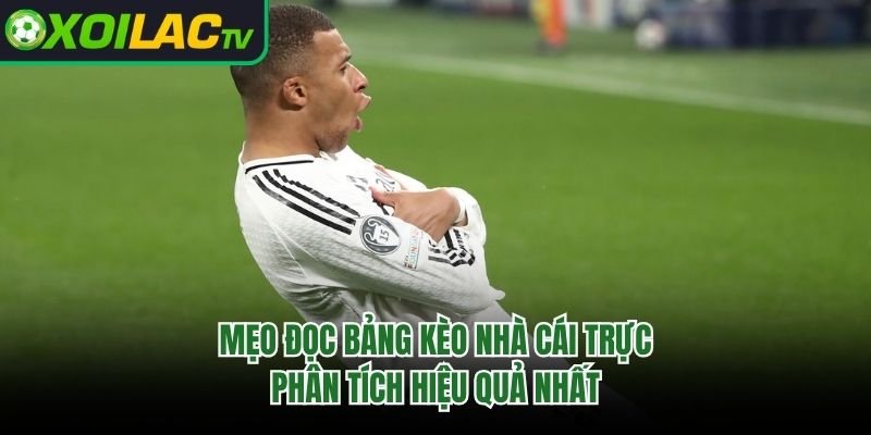 Mẹo Đọc Bảng Kèo Nhà Cái Trực – Phân Tích Hiệu Quả Nhất