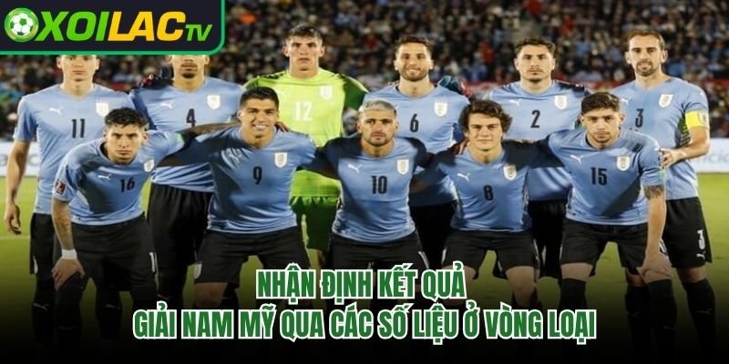 Nhận Định Kết Quả Giải Nam Mỹ Qua Các Số Liệu Ở Vòng Loại