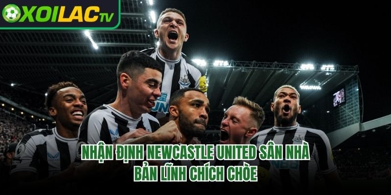 Nhận Định Newcastle United Sân Nhà – Bản Lĩnh Chích Chòe 