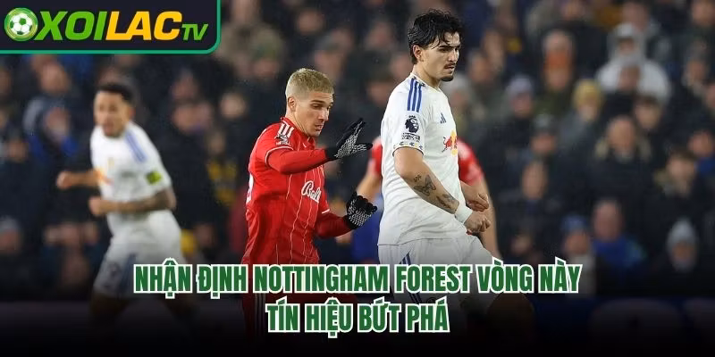 Nhận Định Nottingham Forest Vòng Này – Tín Hiệu Bứt Phá