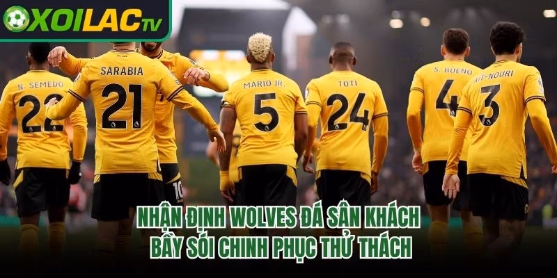 Nhận Định Wolves Đá Sân Khách: Bầy Sói Chinh Phục Thử Thách 
