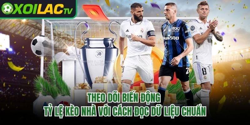 Theo Dõi Biến Động Tỷ Lệ Kèo Nhà Với Cách Đọc Dữ Liệu Chuẩn