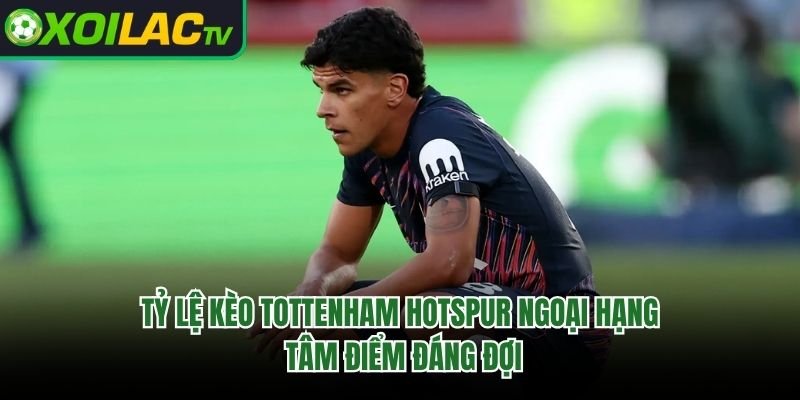 Tỷ Lệ Kèo Tottenham Hotspur Ngoại Hạng: Tâm Điểm Đáng Đợi 